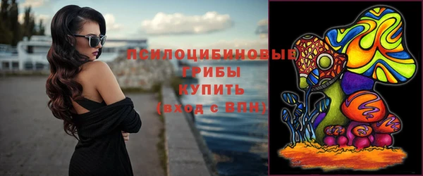 стафф Богородицк