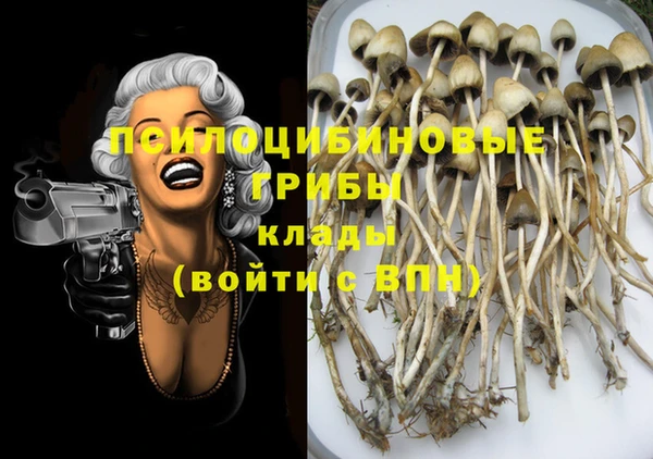стафф Богородицк