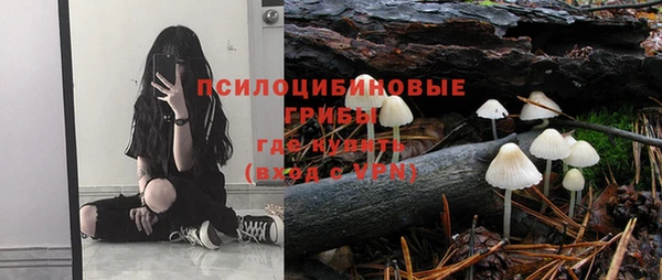 стафф Богородицк