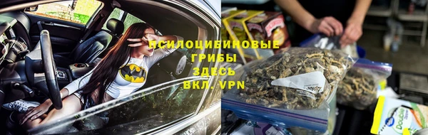 стафф Богородицк